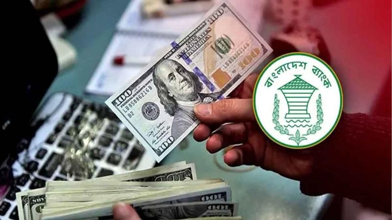 ছবি সংগৃহীত