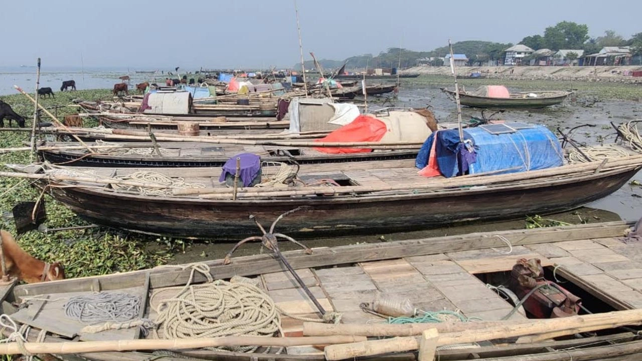 ইলিশ সংরক্ষণে দুই মাসের নিষেধাজ্ঞা শুরু মতলবের মেঘনায় মাছ ধরা বন্ধ থাকায় নোঙর করে রাখা জেলেদের নৌকা।