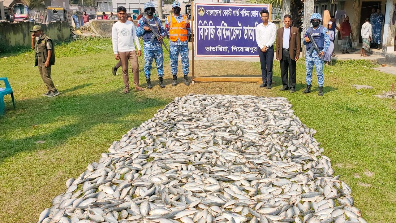 ১০ মণ জাটকাসহ দুই ট্রলার আটক, ৩ জনের কারাদণ্ড