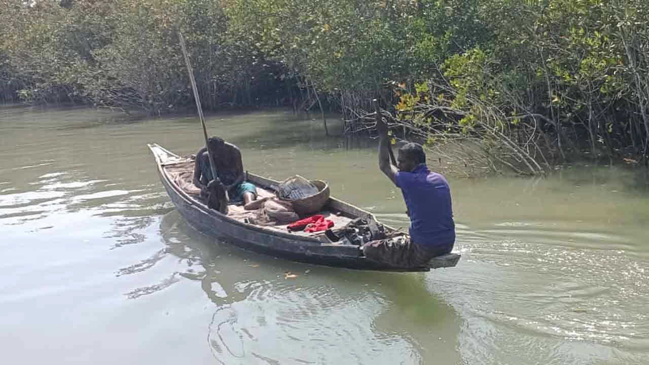 উপকূলীয় জেলেরা সুন্দরবনের নদ-নদীতে কাঁকড়া আহরণ শুরু