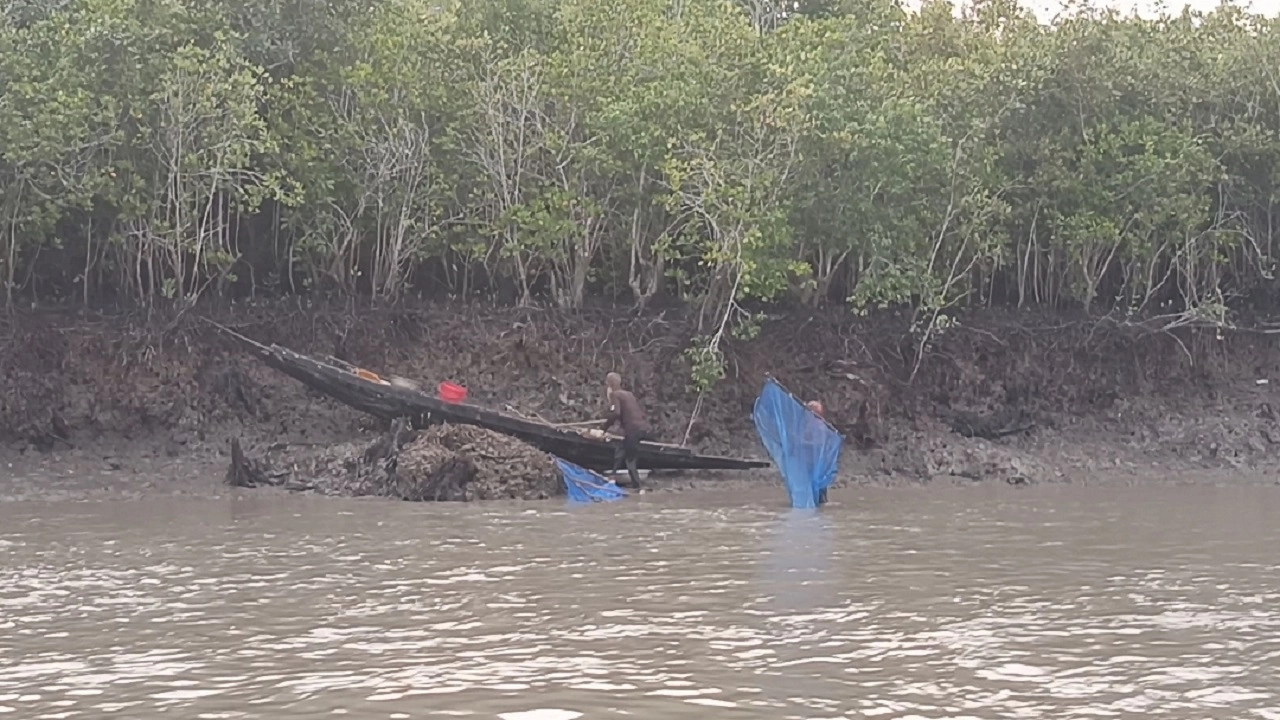 সুন্দরবনের জেলে