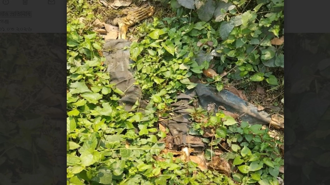 সোনারগাঁয়ে ডোবার পাশ থেকে অজ্ঞাত কিশোরের কঙ্কাল উদ্ধার