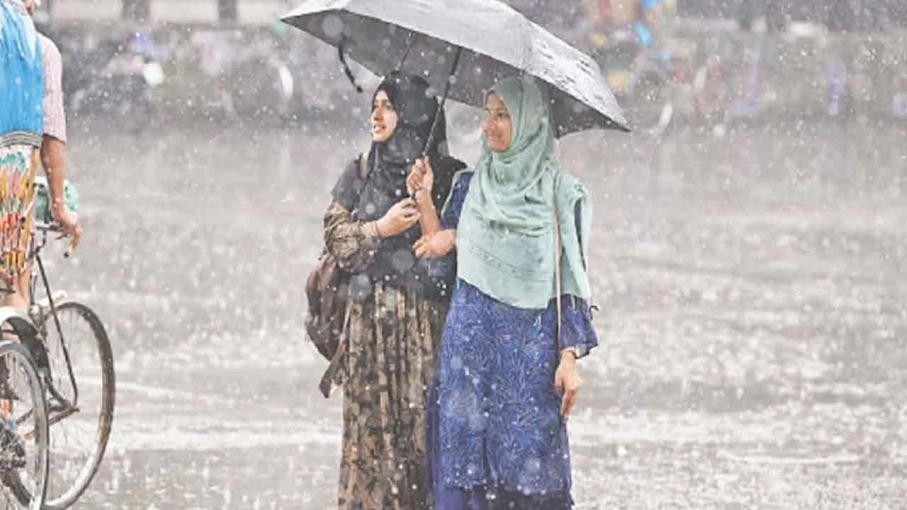 ছবি সংগৃহীত