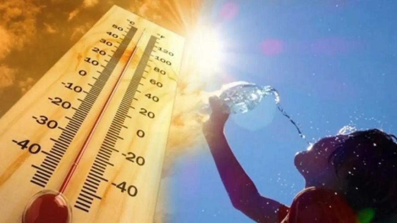 ছবি সংগৃহীত