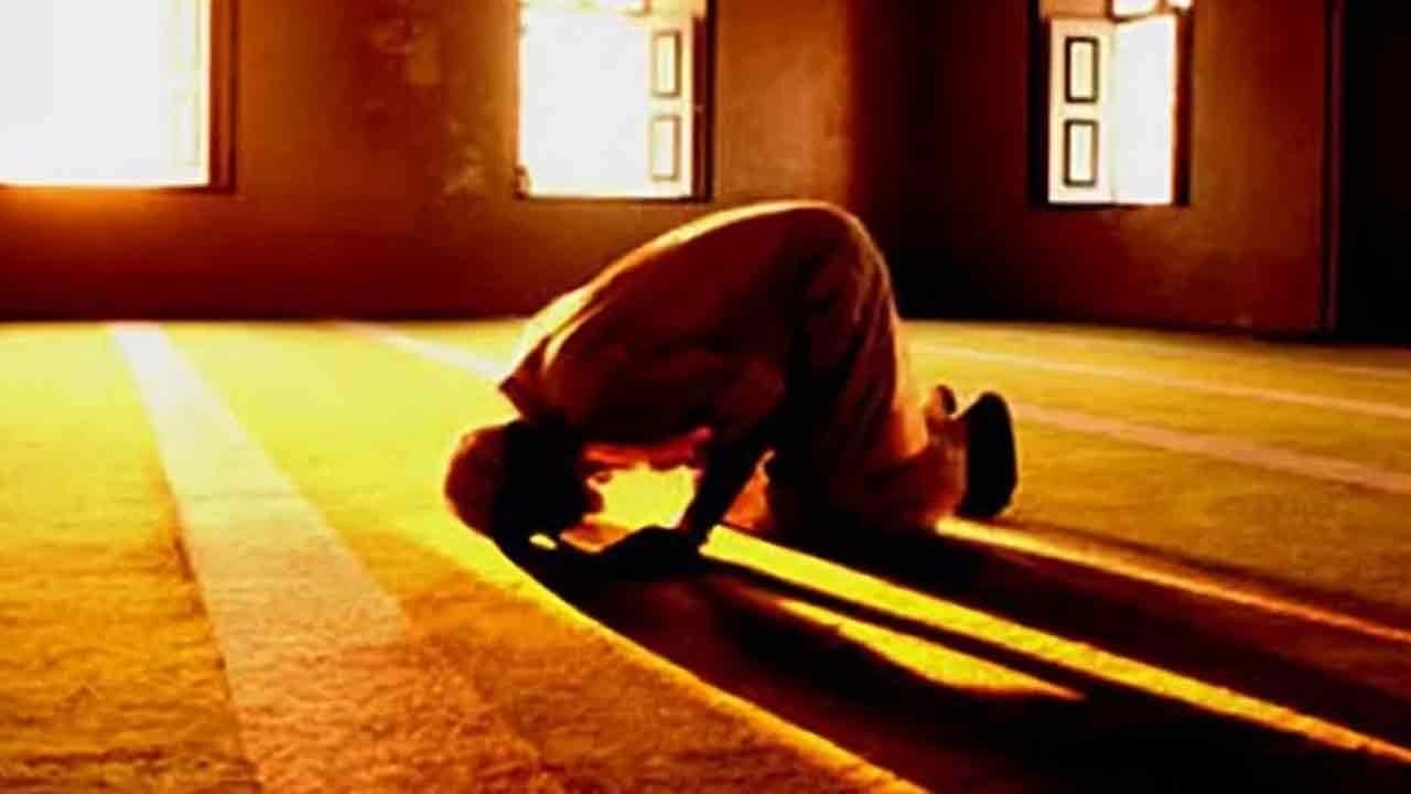 ফাইল ছবি