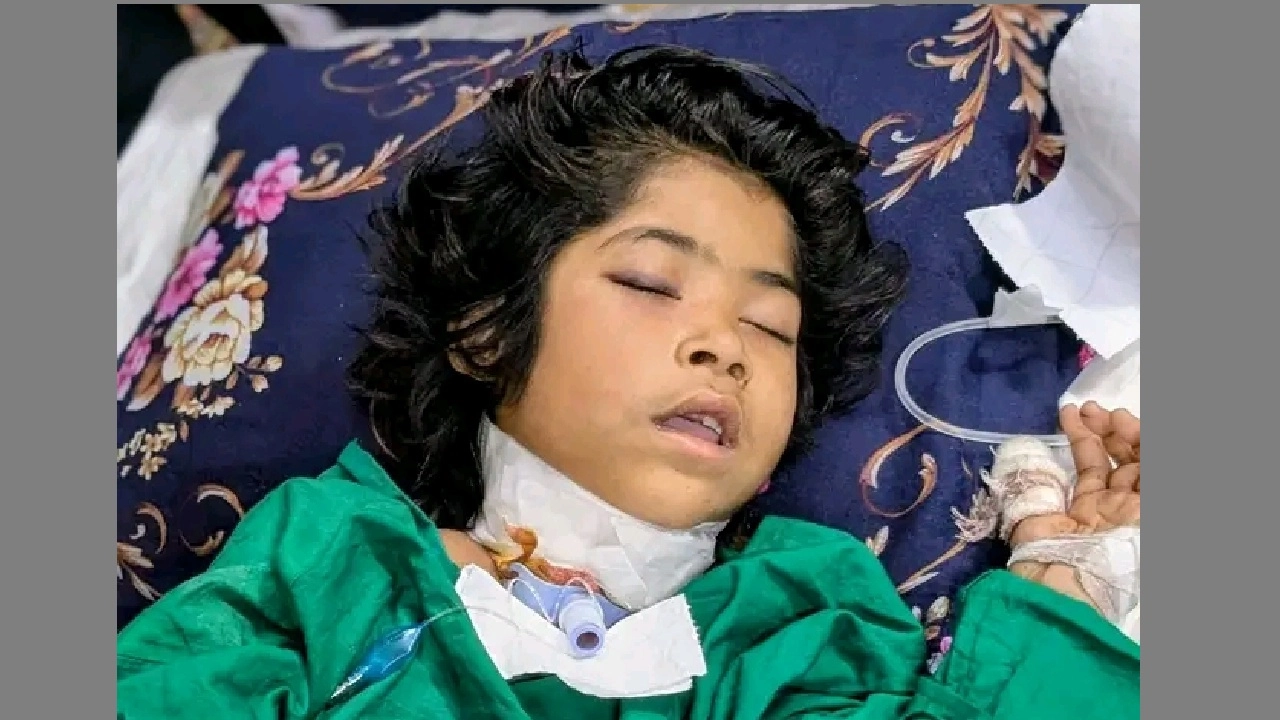 ছবি সংগৃহীত