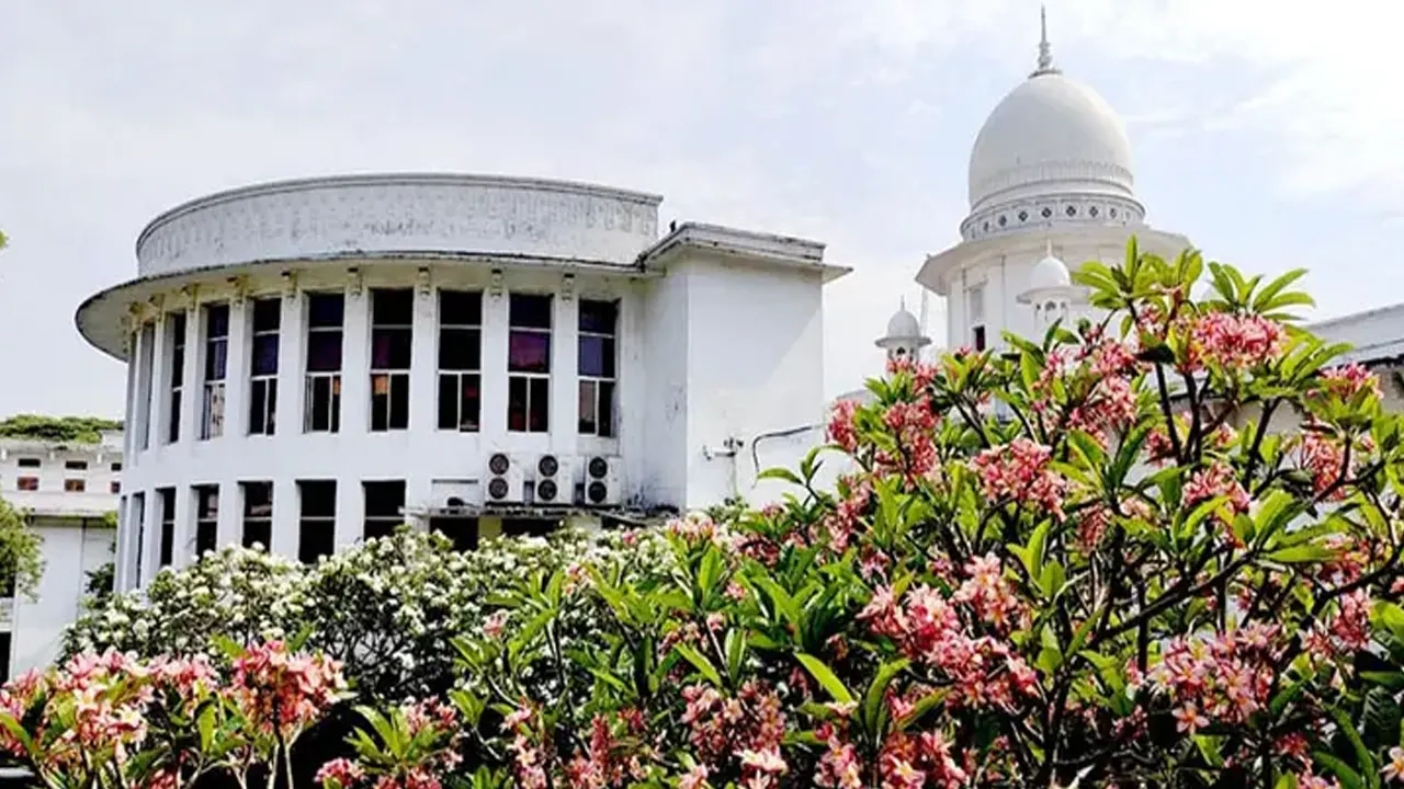 ছবি সংগৃহীত