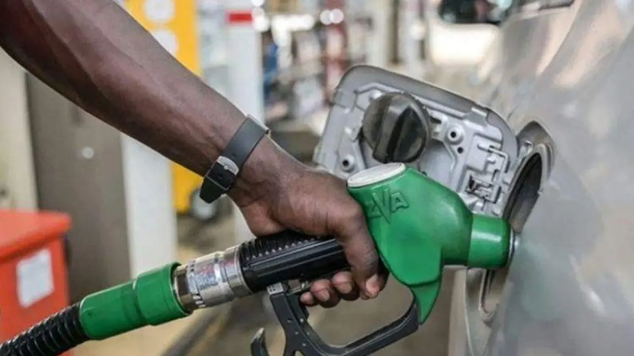 তেল সংগ্রহ-ফাইল ছবি