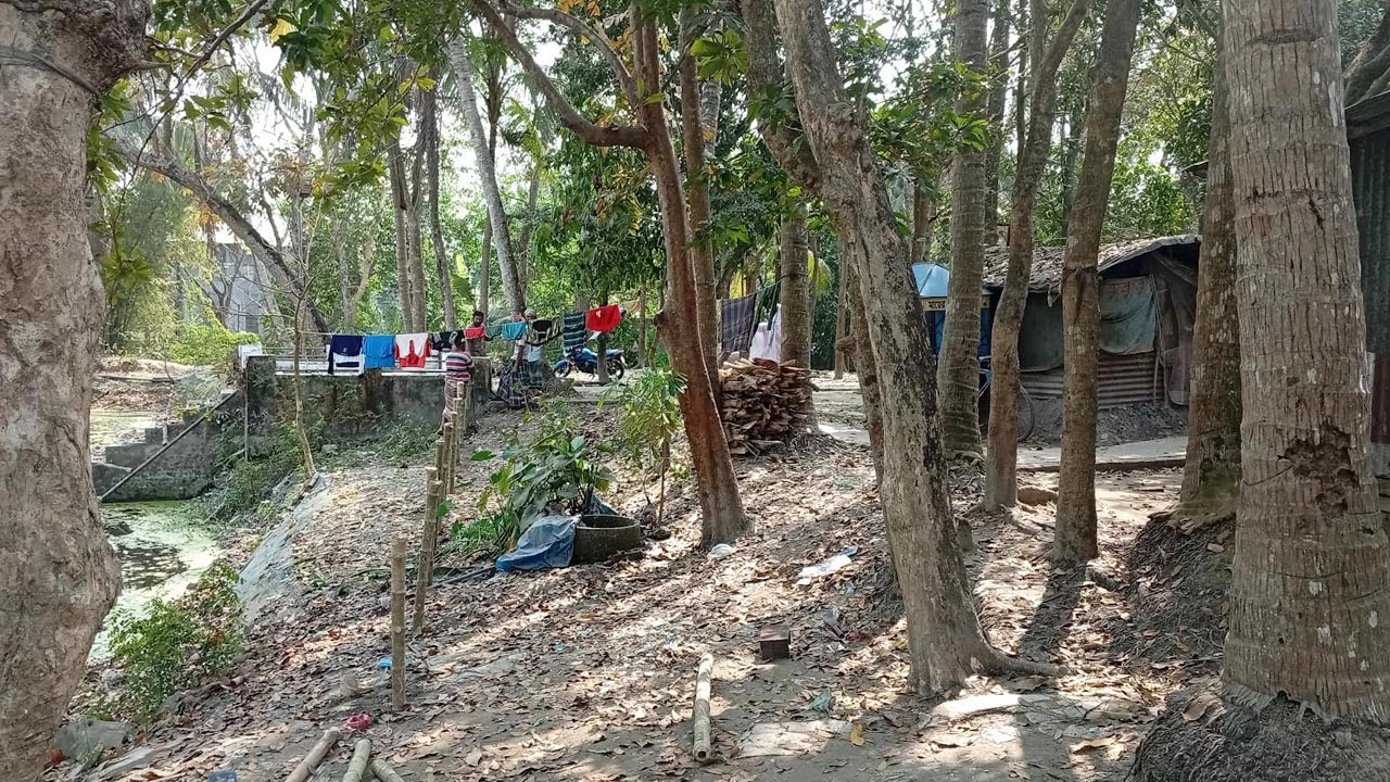 আওয়ামী লীগ নেতার বাড়ির জমি দখল করে রাস্তা নির্মাণ