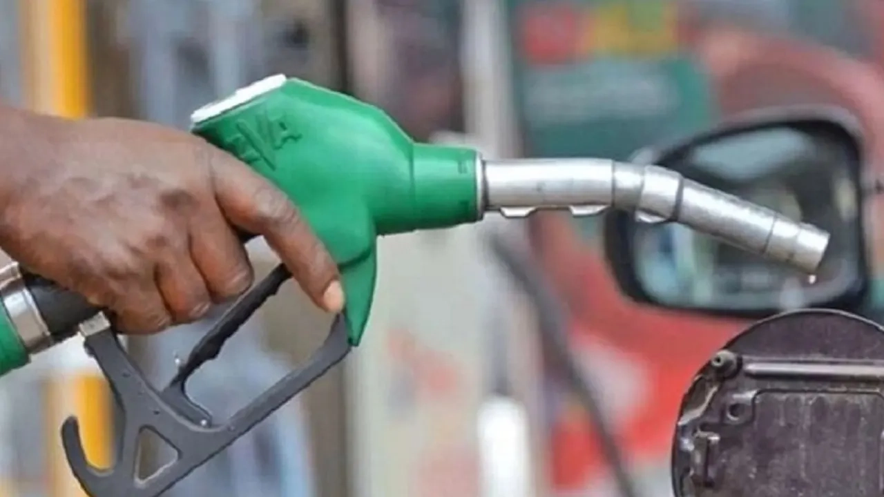 ফাইল ছবি