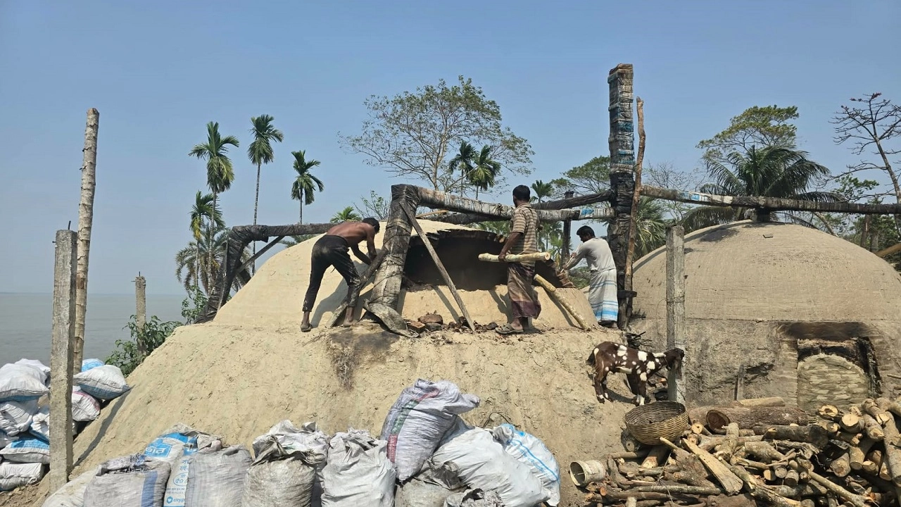 অবৈধ কাঠ কয়লার কারখানায় অভিযান