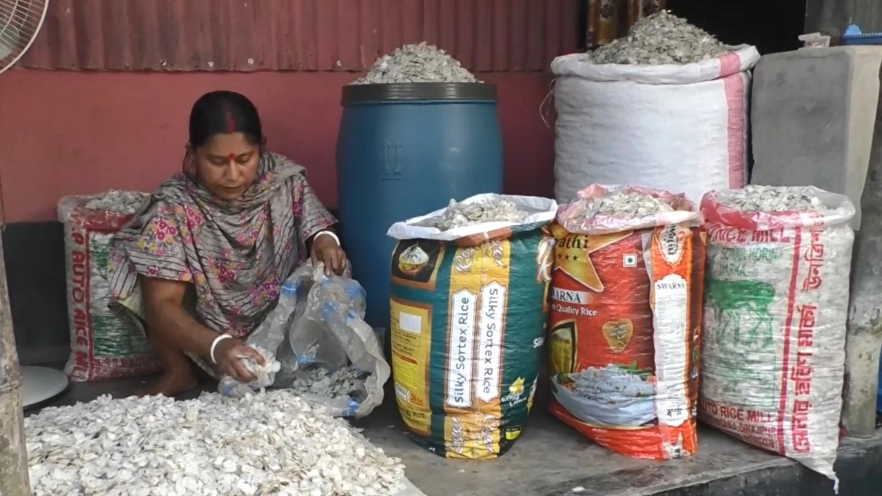 মাছের আঁশ বাছাই করছেন একজন নারী