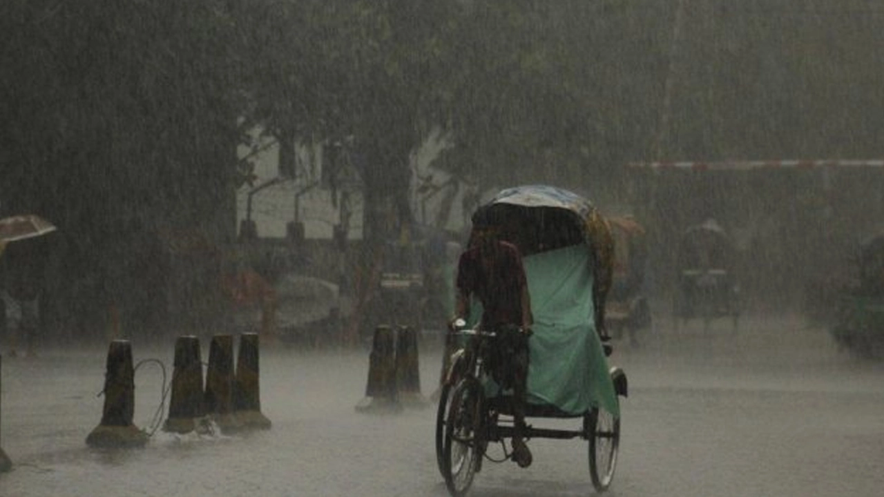 ফাইল ছবি