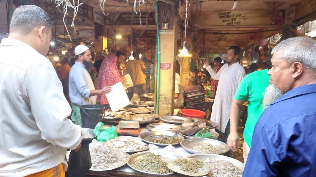 মুন্সীগঞ্জ শহর মাছ বাজারের টোল নির্ধারণে হাইকোর্টের স্থগিতাদেশ