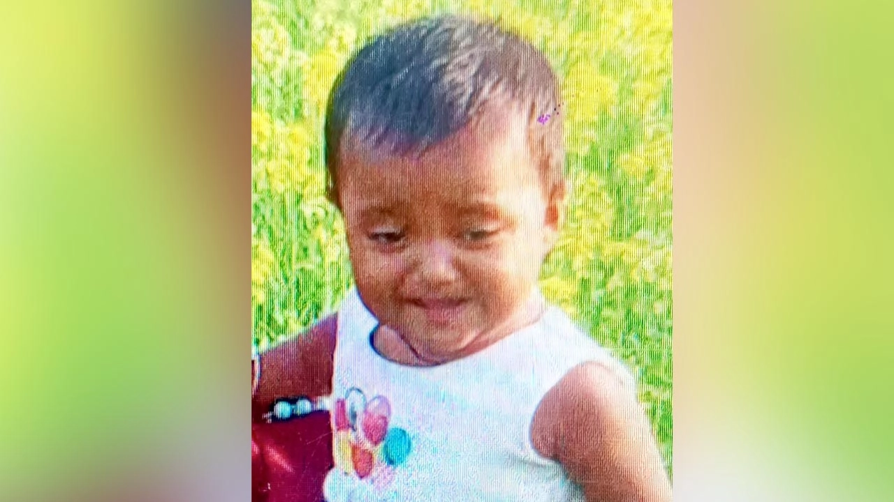 মৃত ছাফামনি