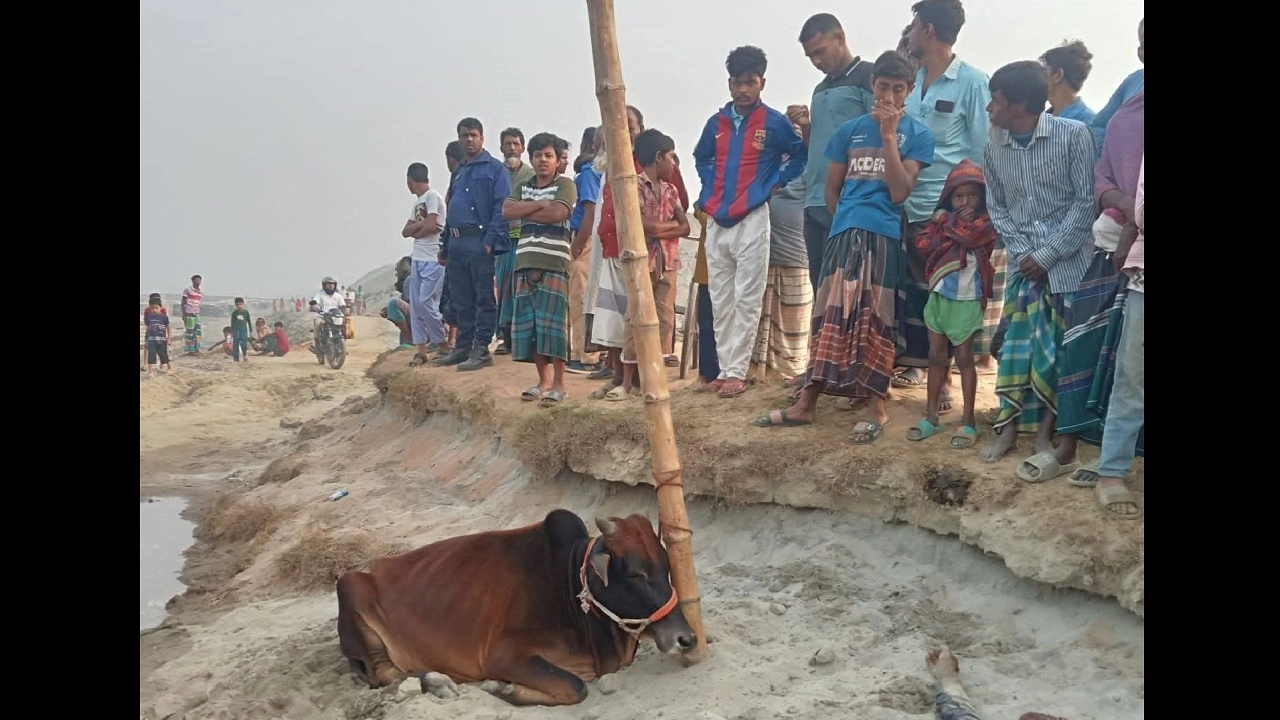 ছবি: সংগৃহীত