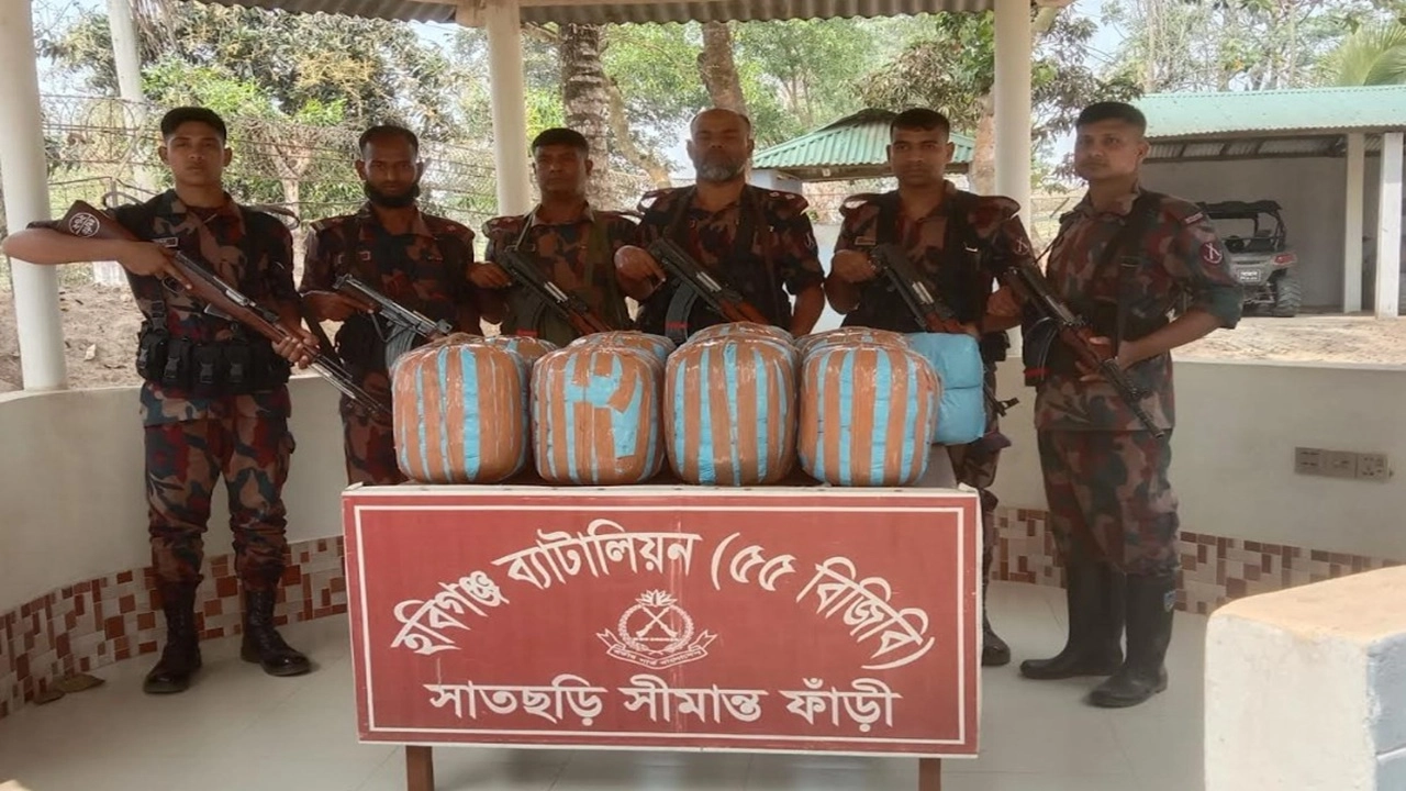 হবিগঞ্জ সীমান্তে বিজিবির পৃথক অভিযানে ৮টি ভারতীয় গরু ও ৫৫ কেজি গাঁজা জব্দ