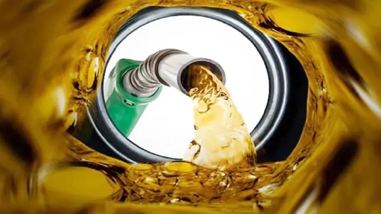 ফাইল ছবি