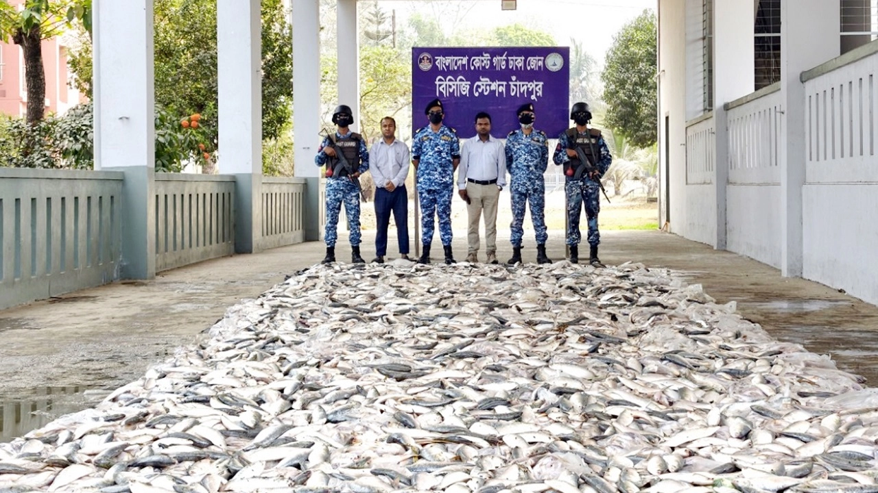 চাঁদপুরে ১২৭ মণ জাটকা জব্দ, ১০ জেলের কারাদণ্ড