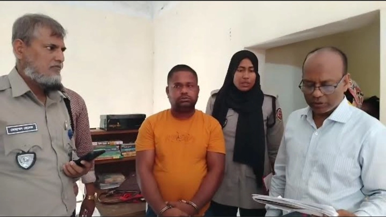 বিএনপি নেতা মো. এনামুল