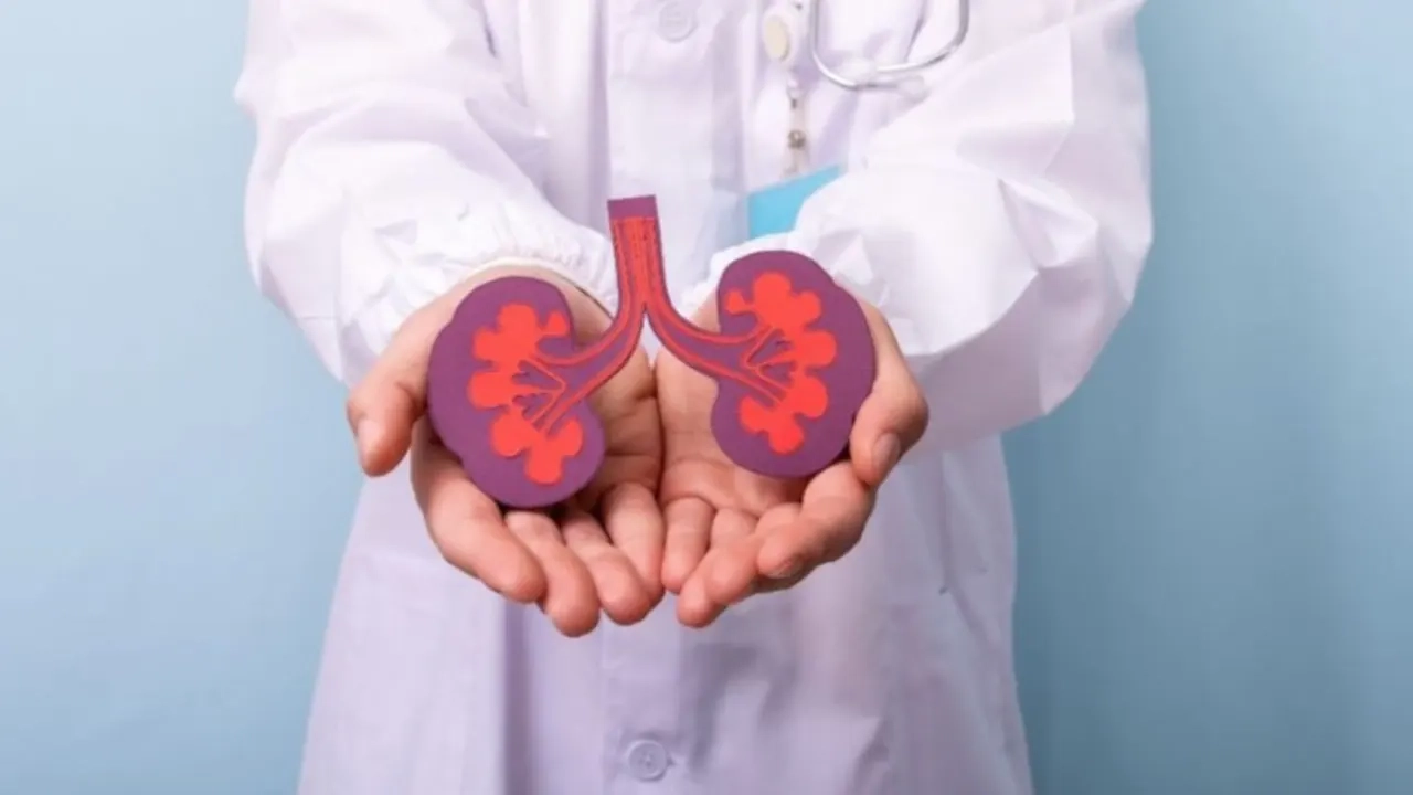 আজ বিশ্ব কিডনি দিবস
