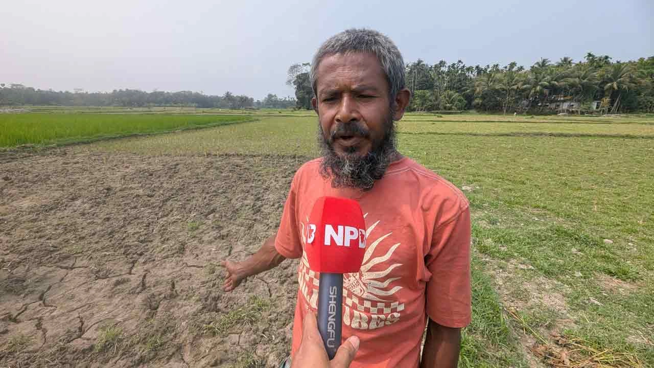 পানি সংকটে দিশেহারা হয়ে পড়েছেন বোরো চাষিরা