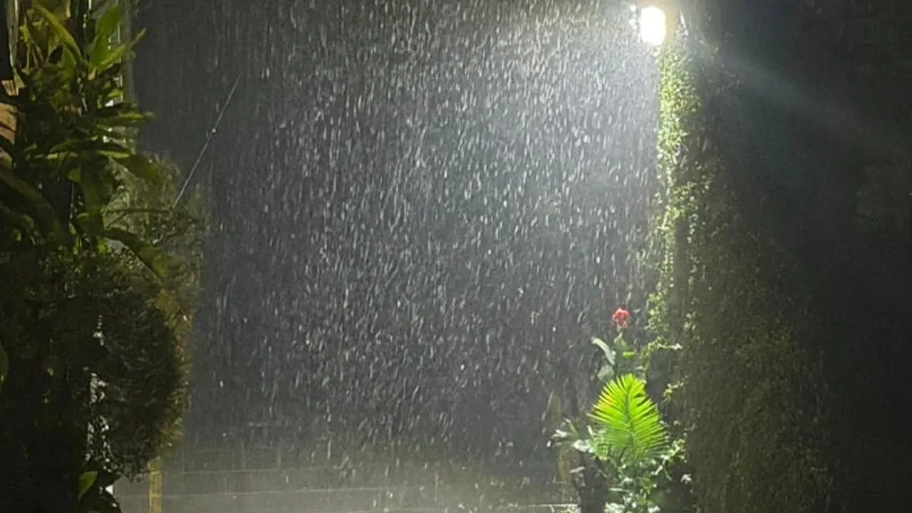 ছবি: এনপিবি নিউজ