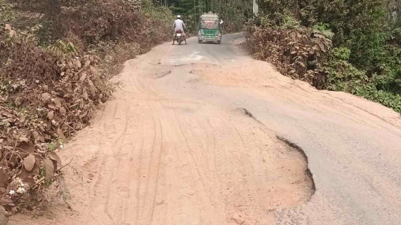 সড়কের বেহাল দশা