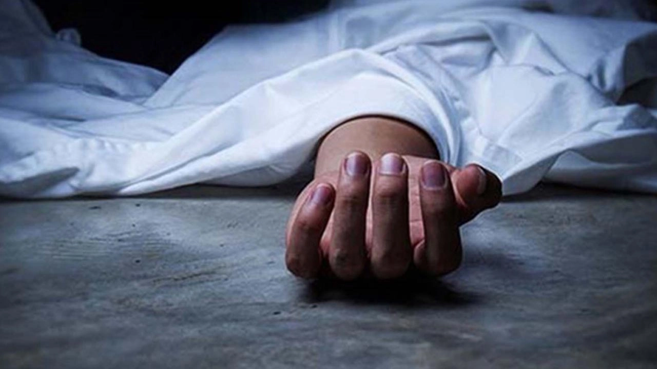 ফাইল ছবি