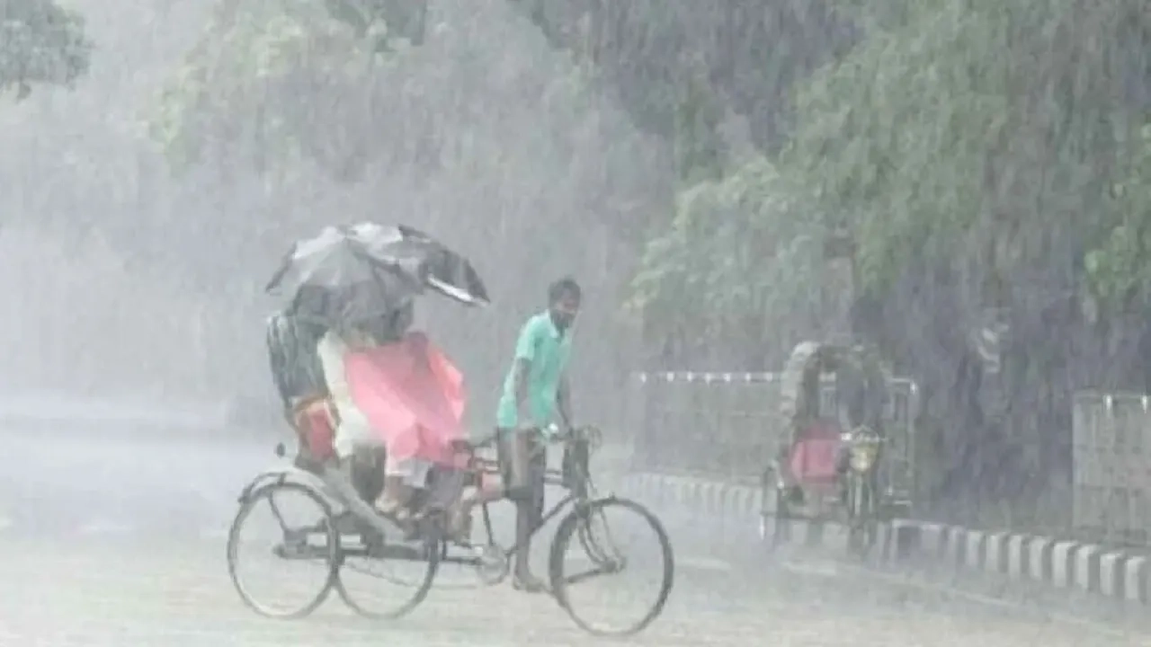 ফাইল ছবি