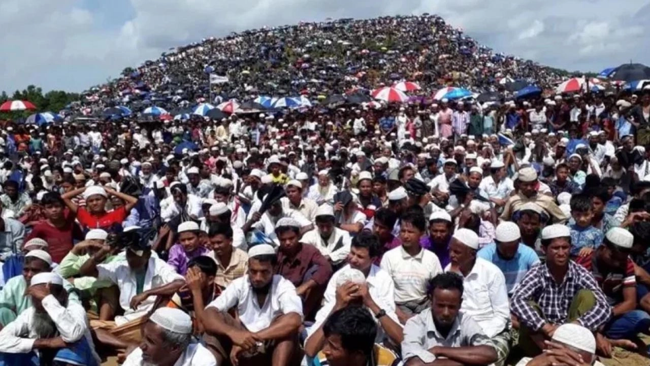 ফাইল ছবি