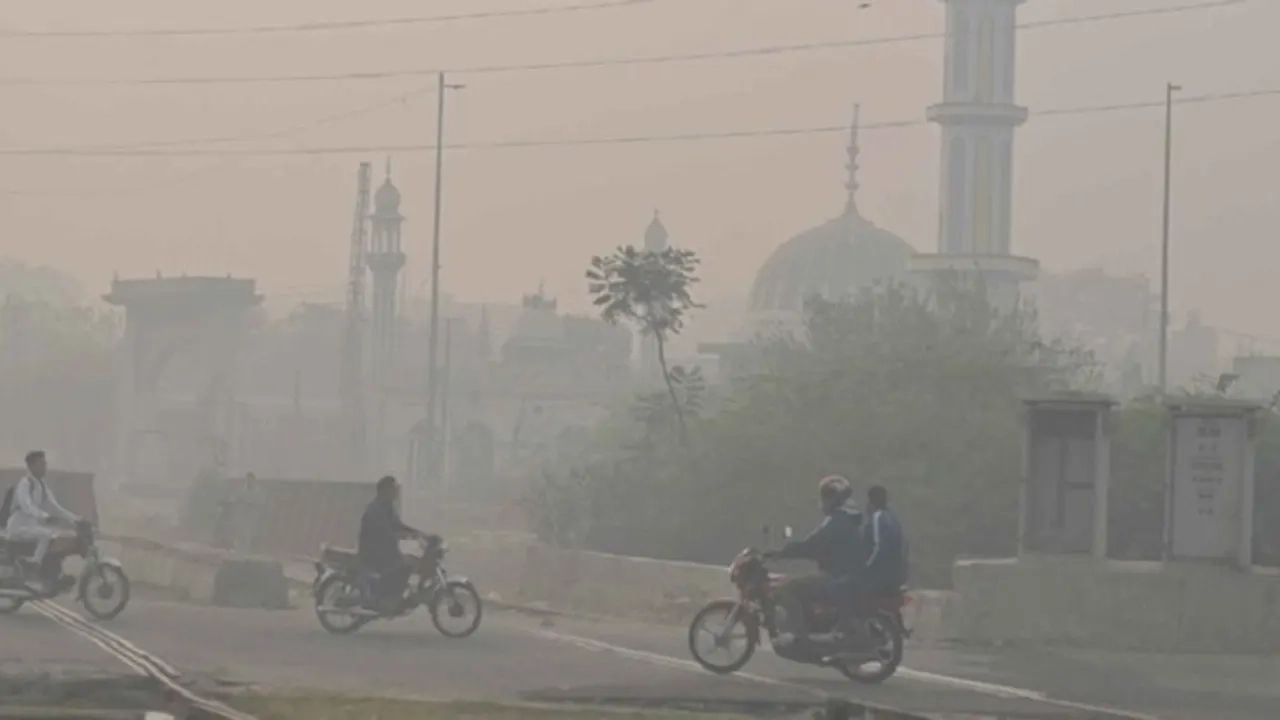 ছবি সংগৃহীত