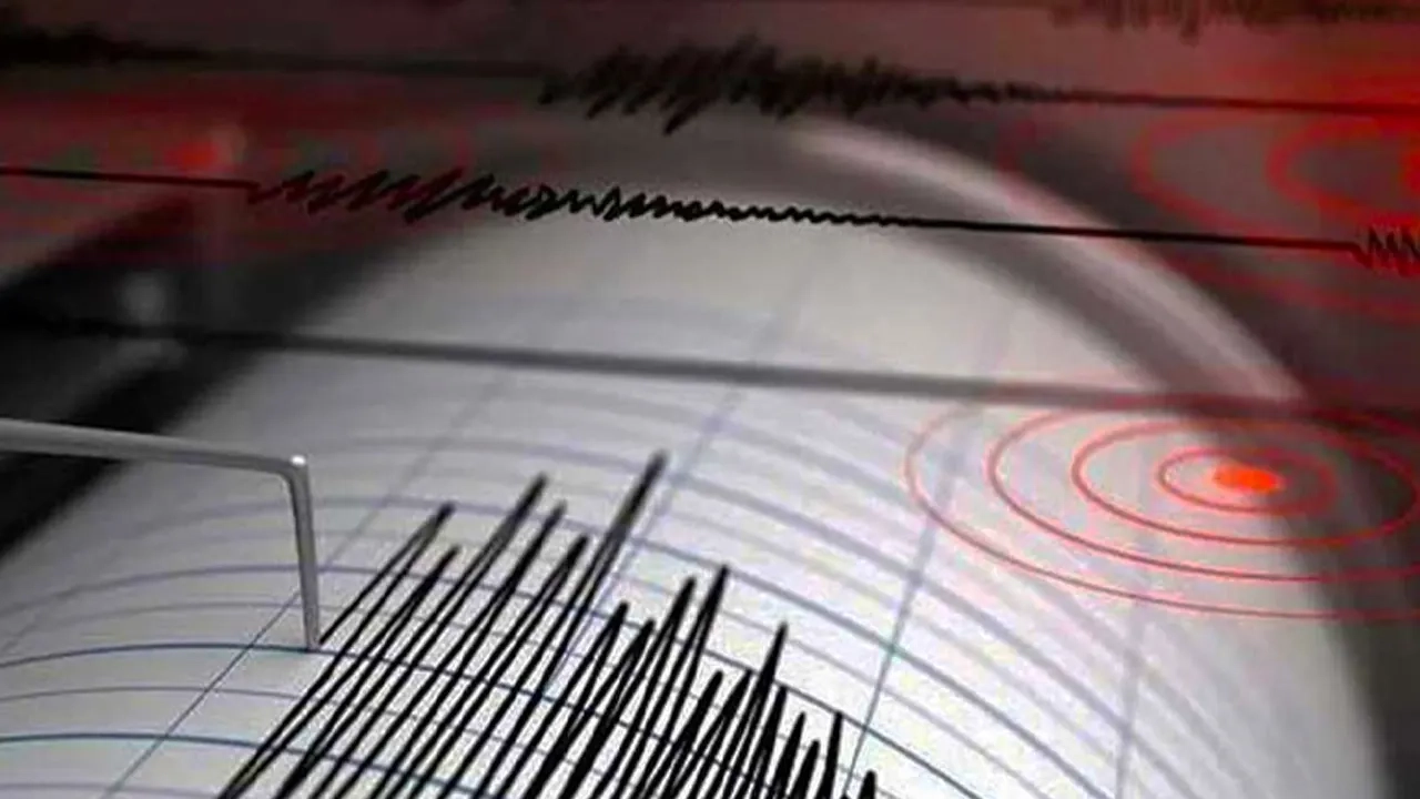 ছবি সংগৃহীত