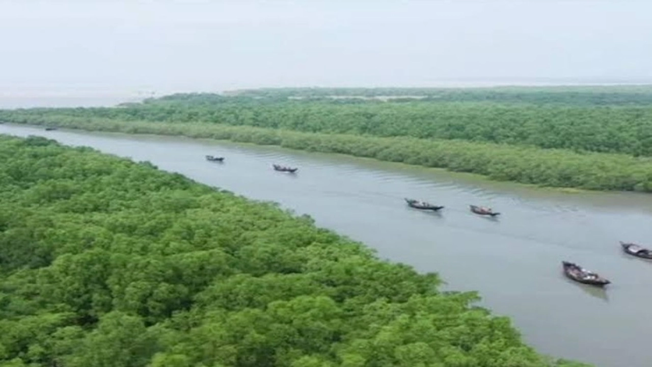 সুন্দরবন