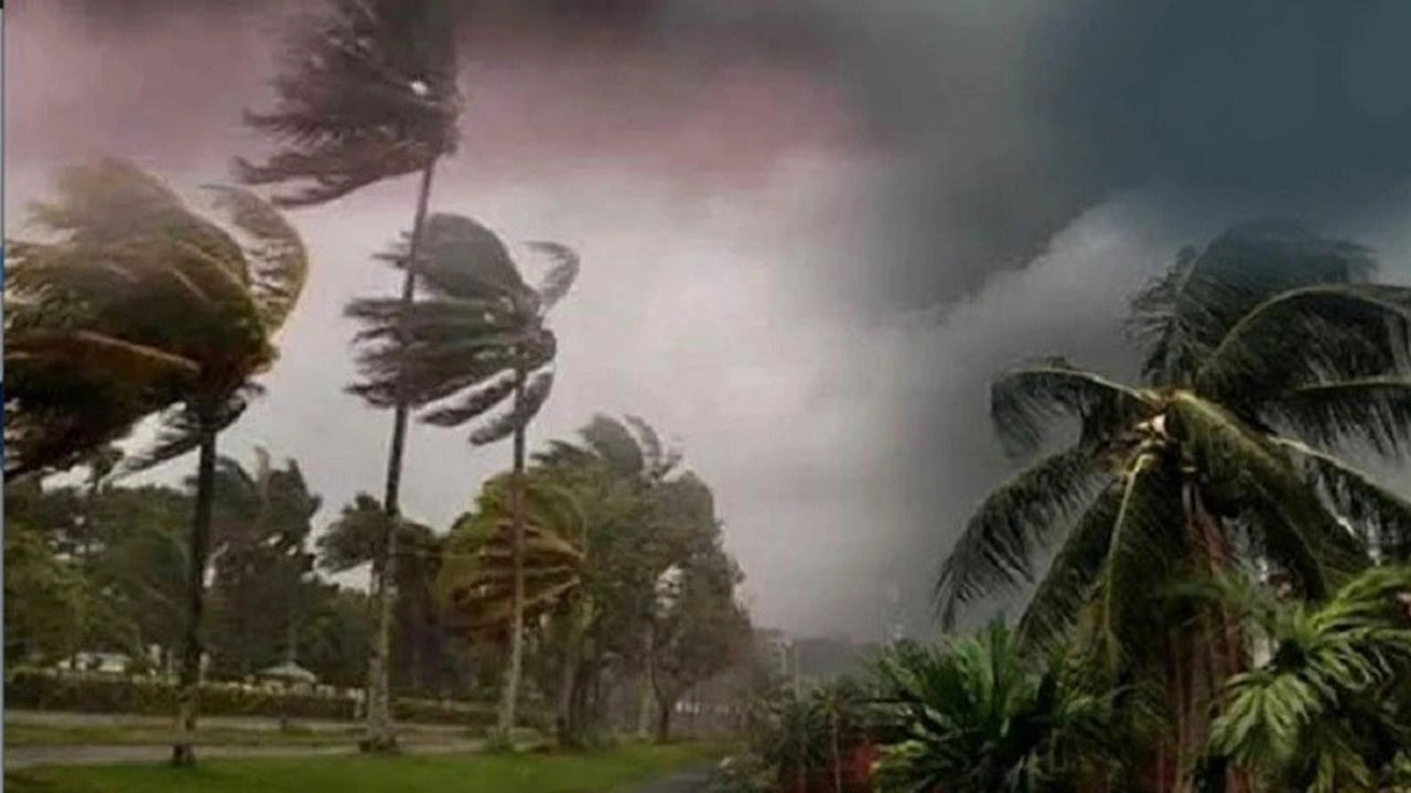 ছবি সংগৃহীত