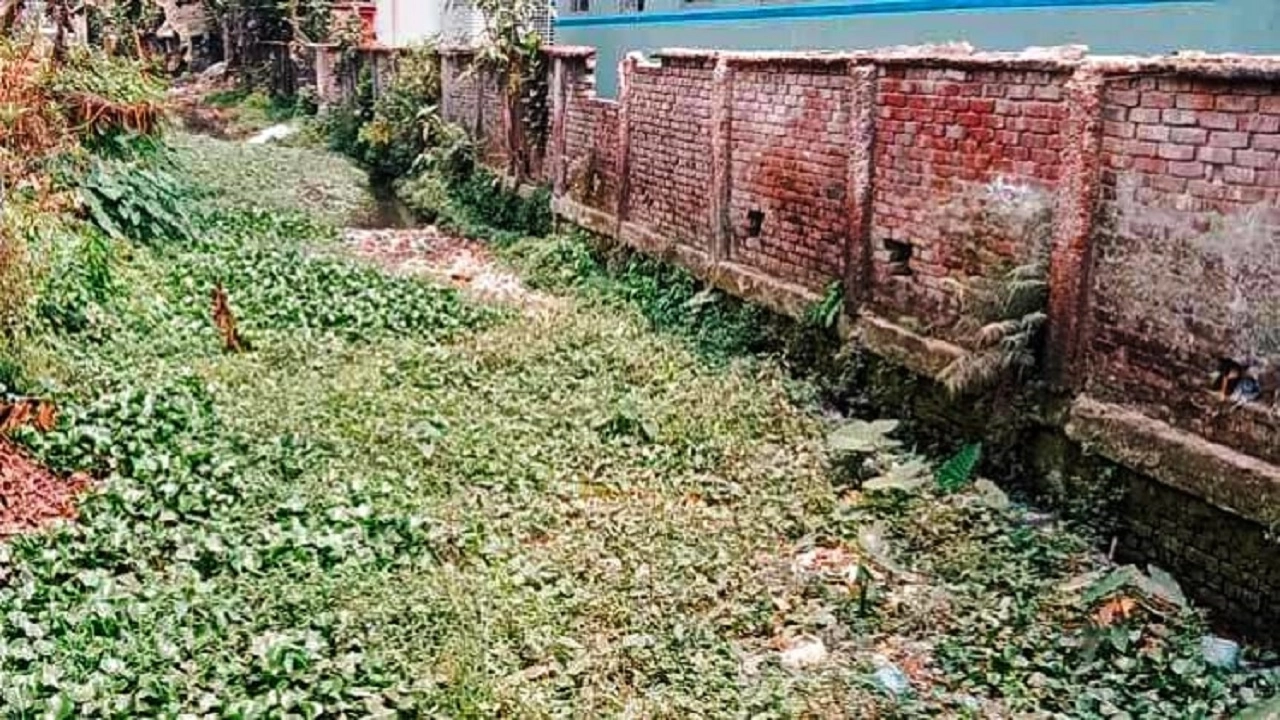 খাল খনন প্রকল্পে অনিয়মের অভিযোগ