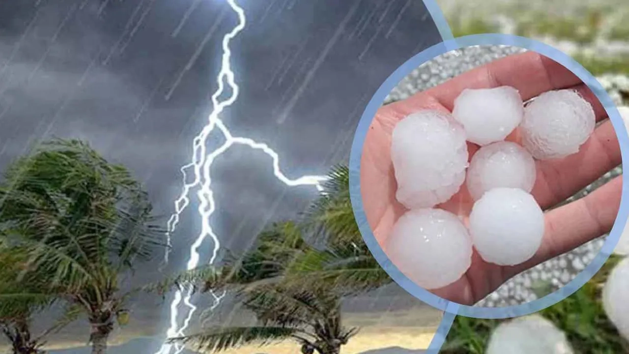 প্রতীকী ছবি