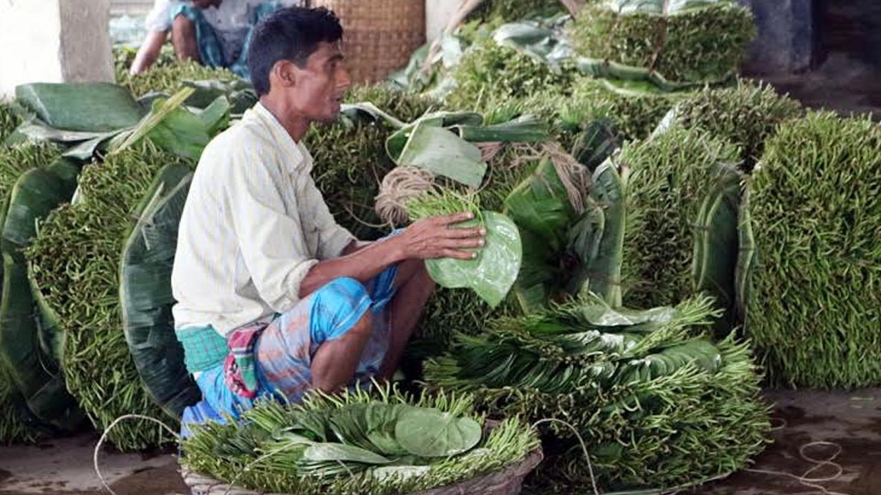 অভাব পেরিয়ে স্বচ্ছলতার পথে শিলখালী