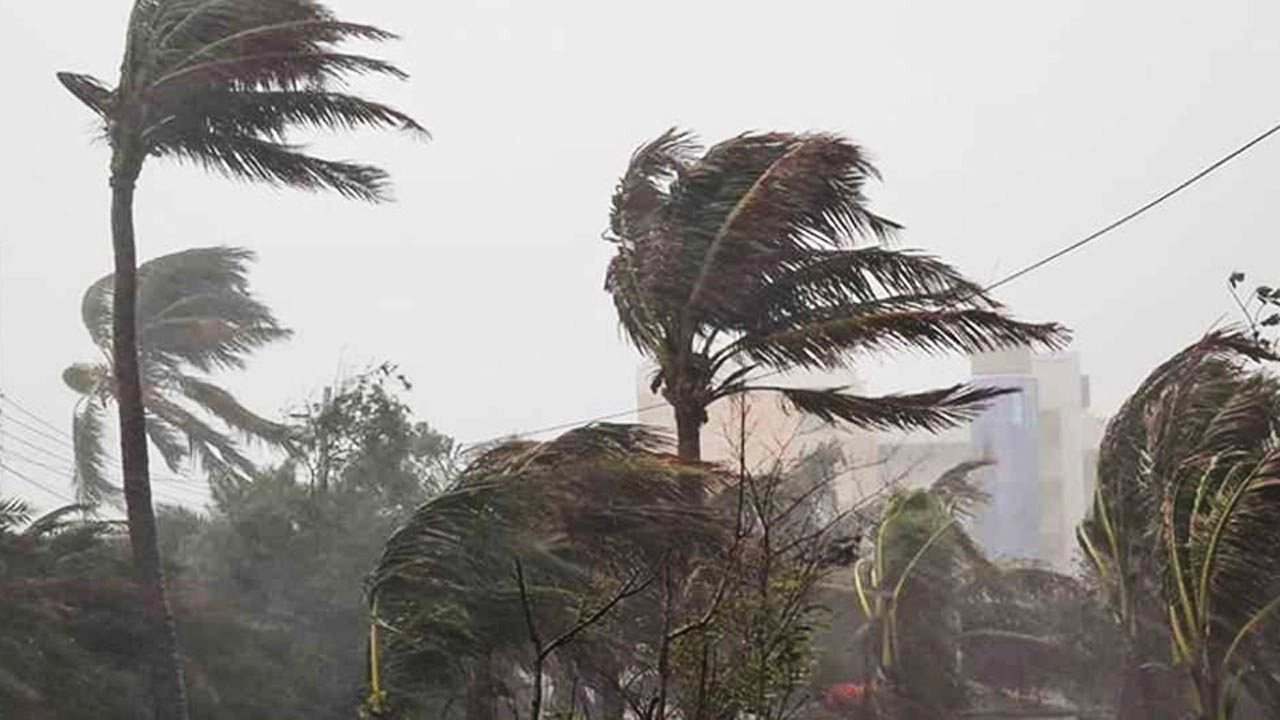 ছবি সংগৃহীত