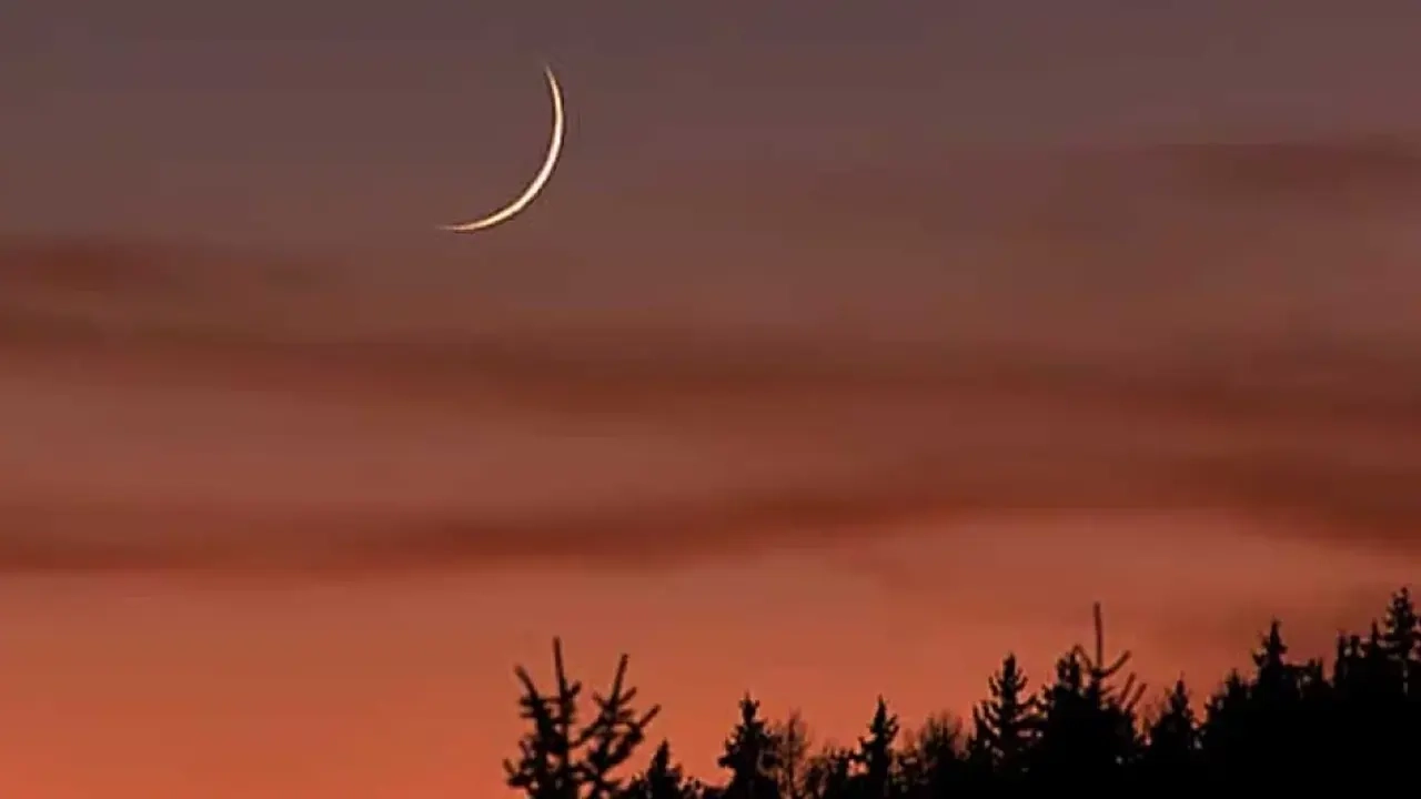 ছবি সংগৃহীত