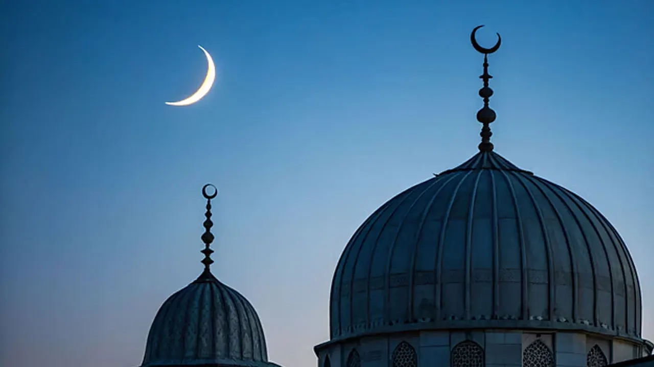 ছবি সংগৃহীত