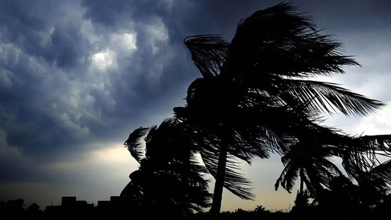 প্রতীকী ছবি