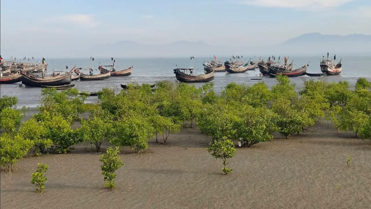 ফাইল ছবি