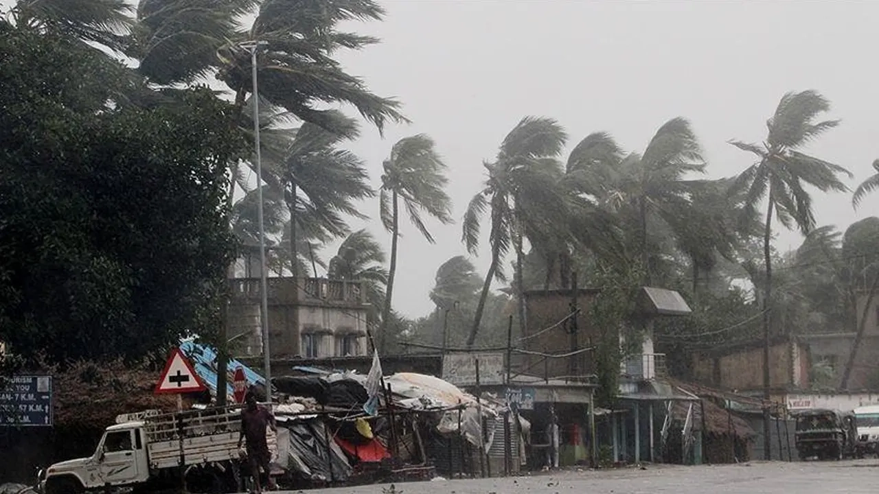 ছবি সংগৃহীত