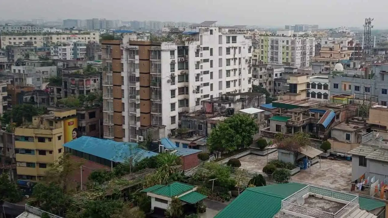 ছবি: এনপিবি নিউজ