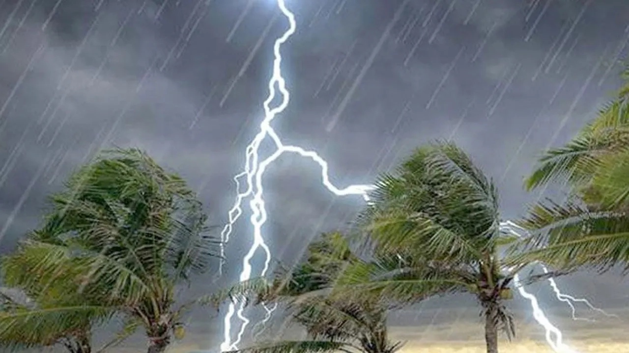 ছবি সংগৃহীত