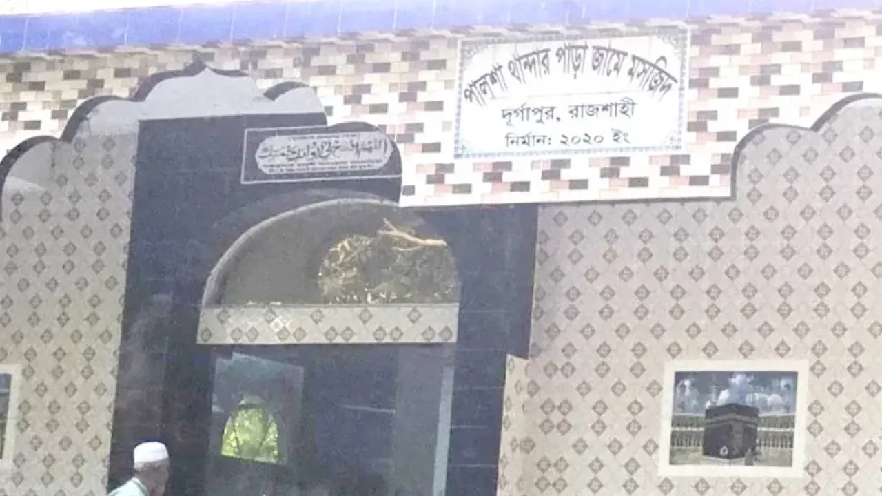 পালশা থান্দারপাড়ায় অবস্থিত প্রায় ২৭০ বছরের পুরোনো এক গম্বুজবিশিষ্ট মসজিদ