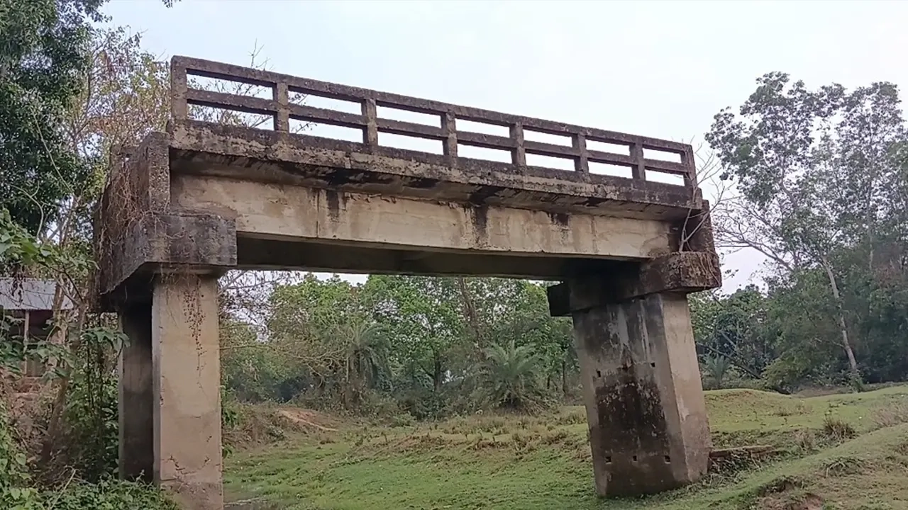 সংযোগ সড়ক ছাড়াই নির্মিত ব্রিজ