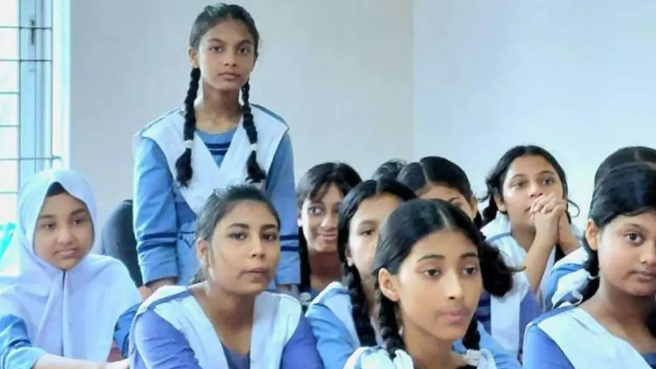 ফাইল ছবি