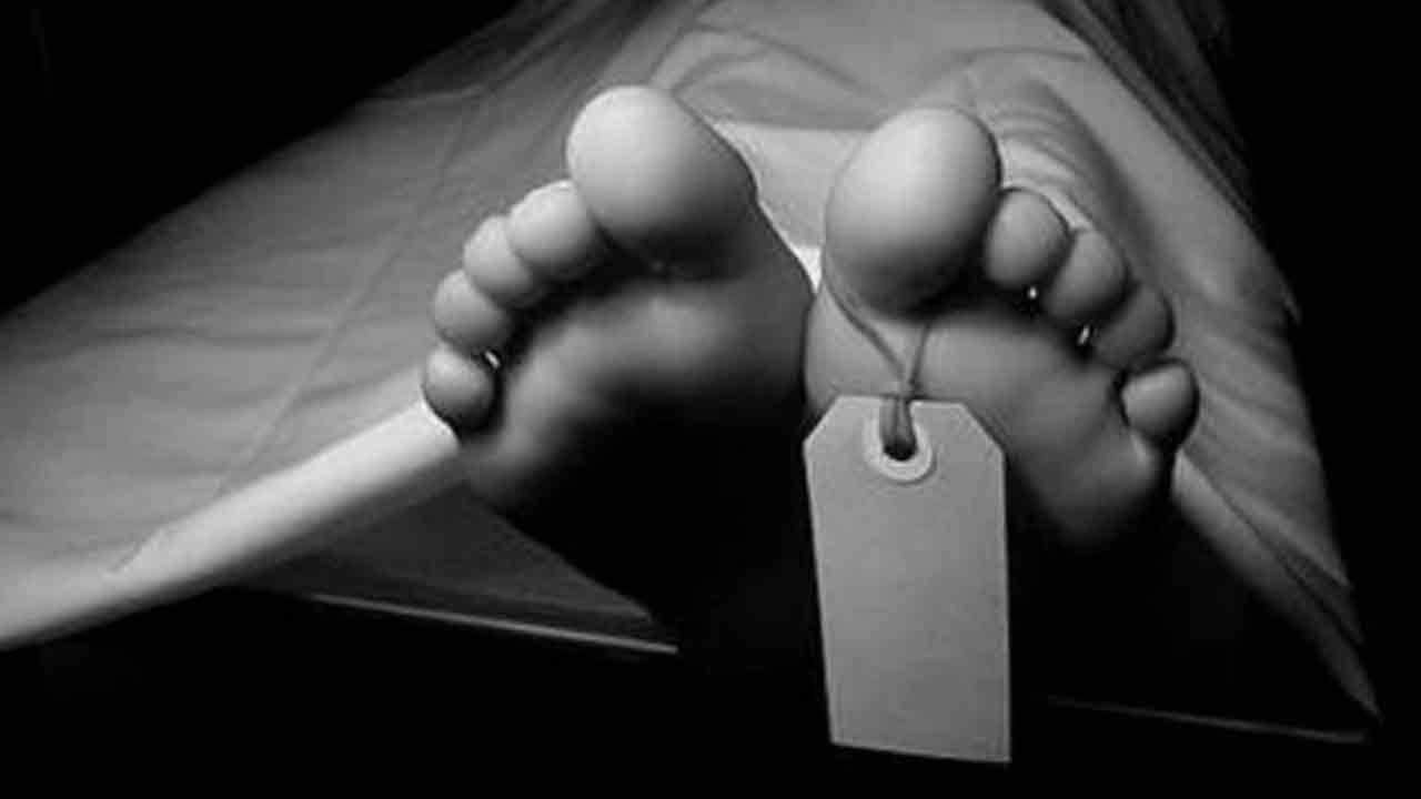 ফাইল ছবি